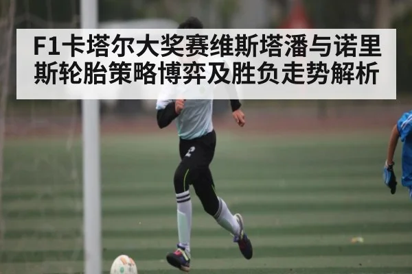 F1卡塔尔大奖赛维斯塔潘与诺里斯轮胎策略博弈及胜负走势解析